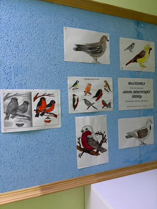 oe1NvLCgRJEro01JBYgV_XSsPNeIoGmKtC2L0TzaZ9JOuzlZQKlud9dZmzK8cZlF9SORdQFC9ANy-OWDe5cp1ea8