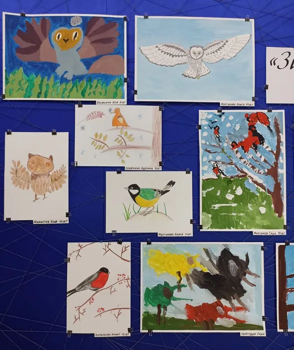 Изображение WhatsApp 2025-11-12 в 11.37.01_e6e76214